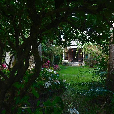 Le Medinilla Bed & Breakfast Bras-Panon Exterior photo