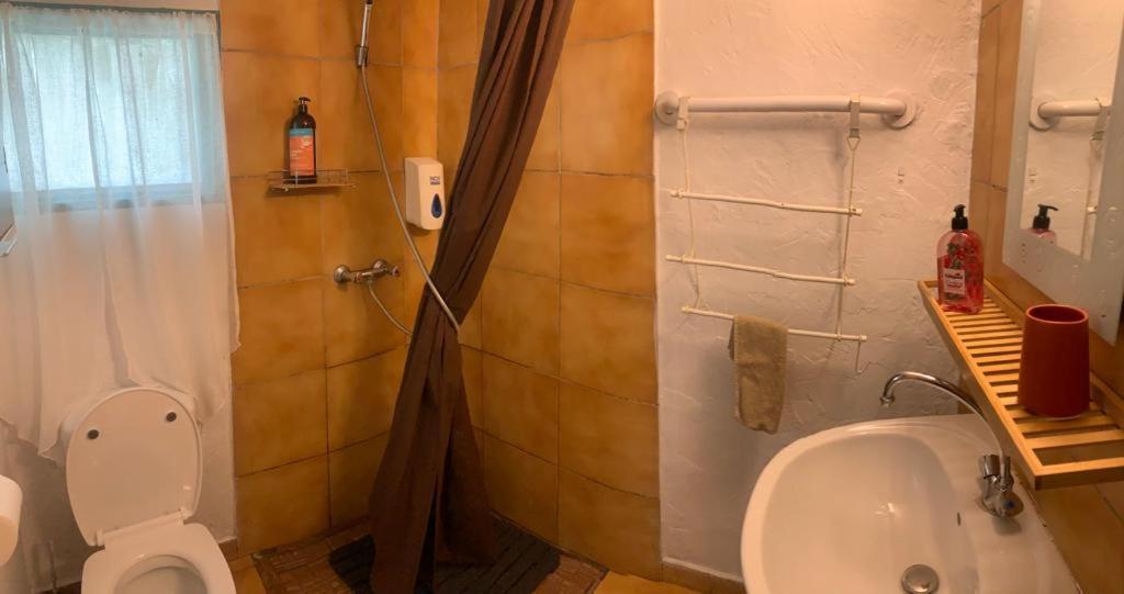 Le Medinilla Bed & Breakfast Bras-Panon Exterior photo