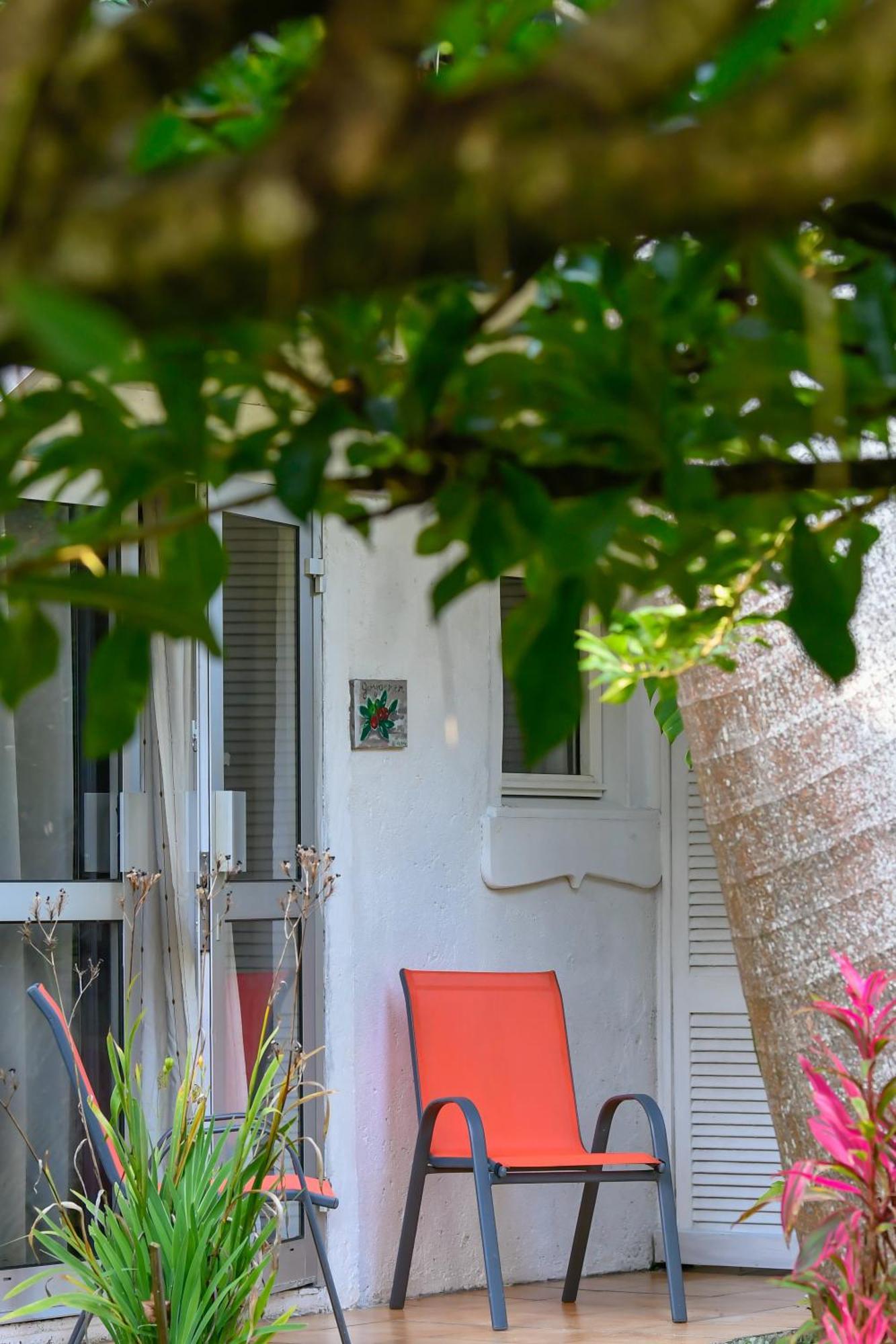 Le Medinilla Bed & Breakfast Bras-Panon Exterior photo