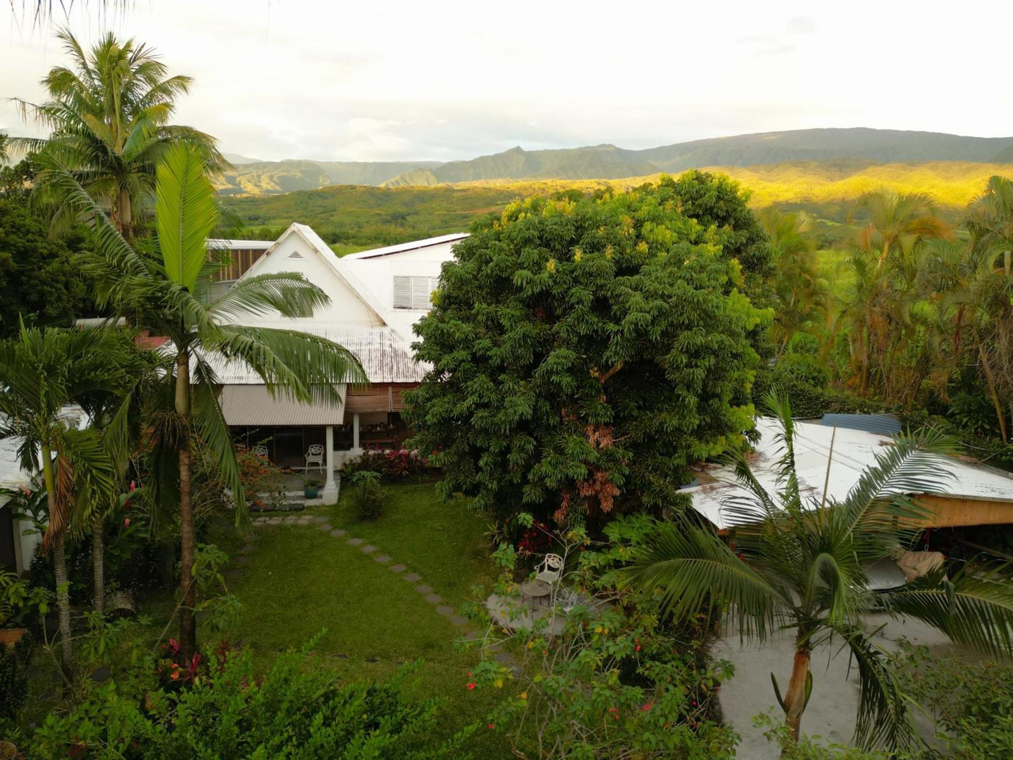 Le Medinilla Bed & Breakfast Bras-Panon Exterior photo